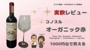 コノスル「オーガニック 赤」を実飲レビュー|1000円台で肉に合う濃いチリカベは買い?